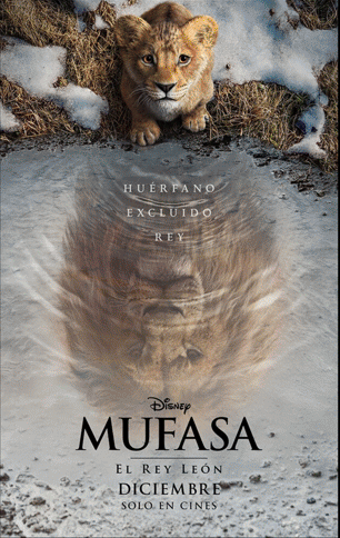 45 - copia (6) - copia.png